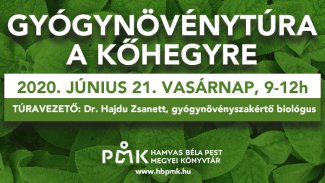 Gyógynövénytúra 2